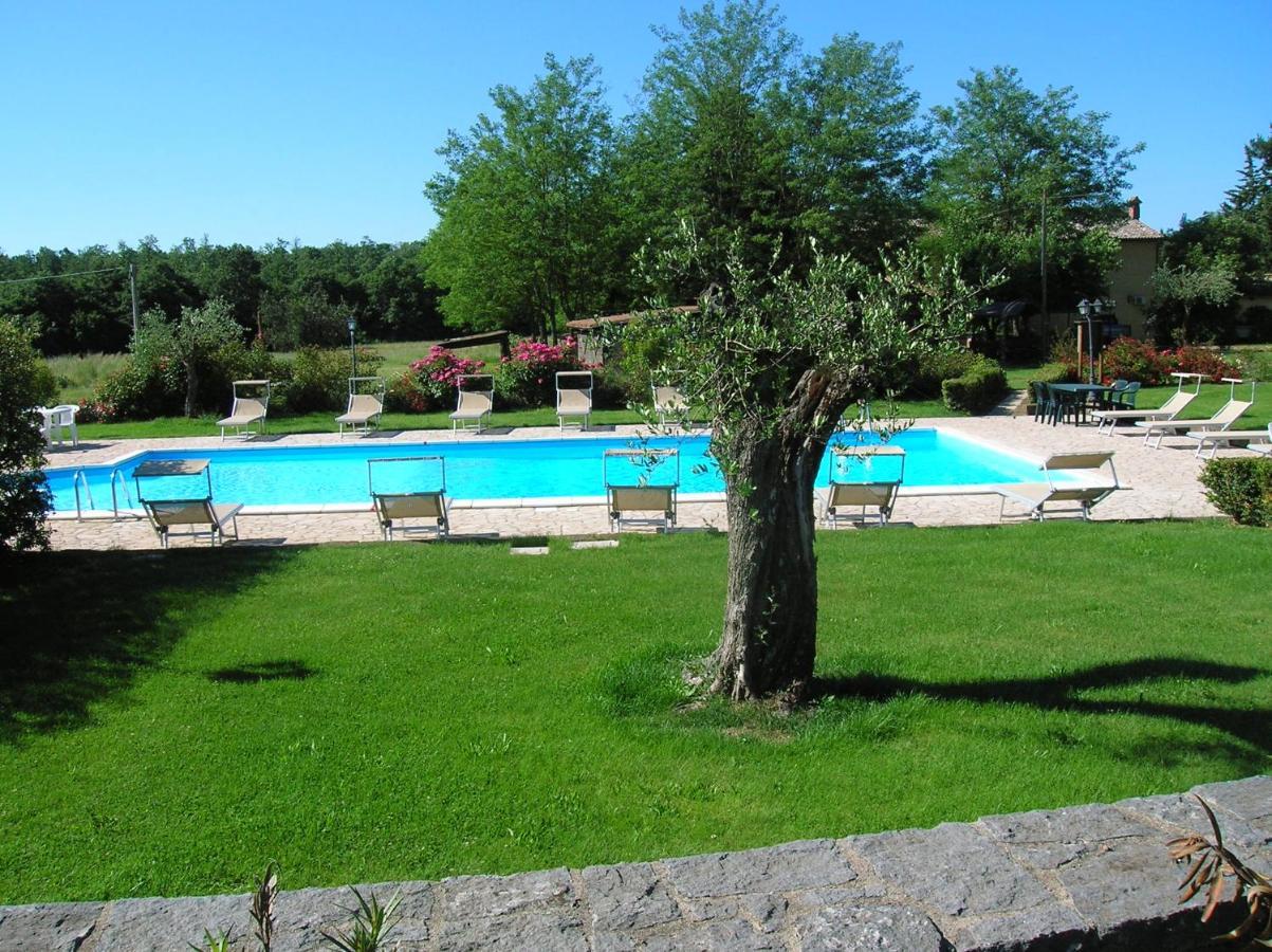Agriturismo Buonasera Bagnoregio Exterior photo